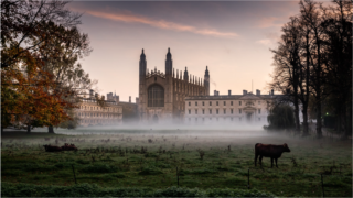 Screenshot 2024 07 19 at 10 57 44 PM